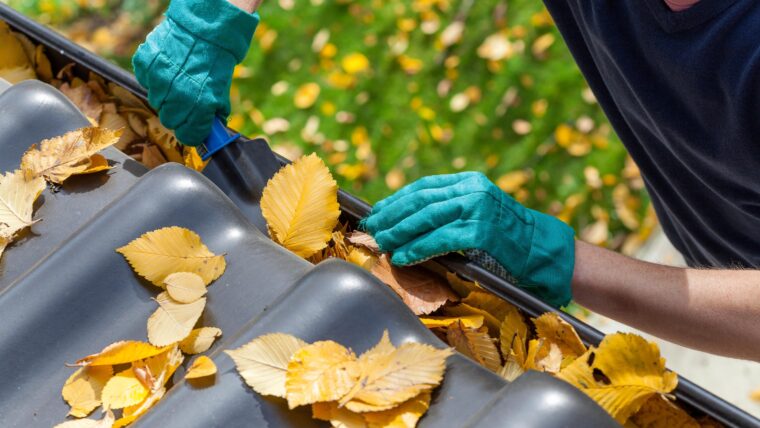 Cleaning a house gutter