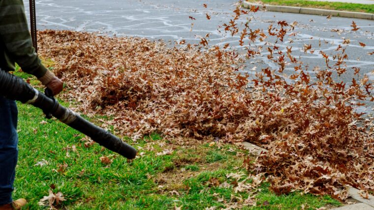 Fall lawn maintenance