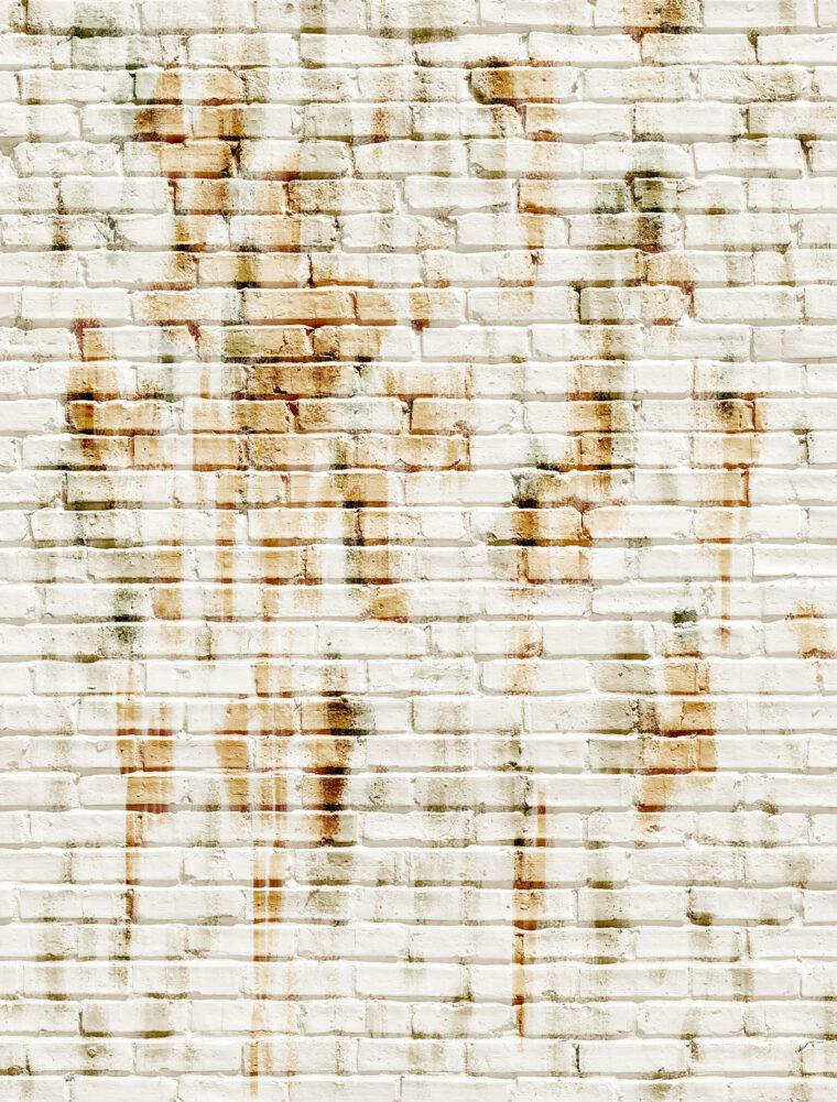 White brick wall mineral stain before primer