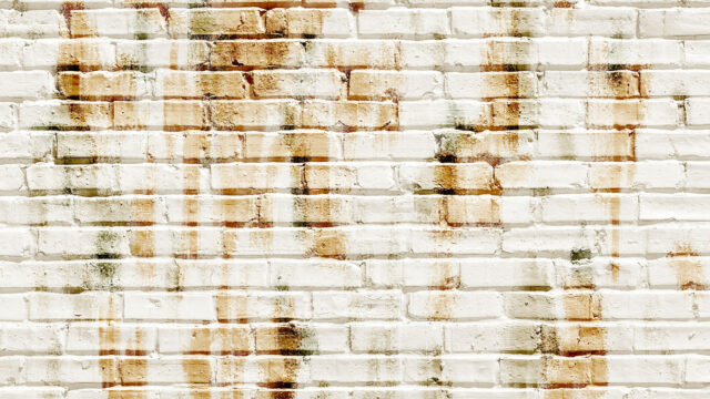 Mineral staining on a brick wall
