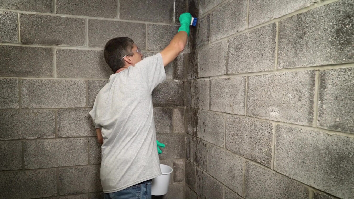 DRYLOK® Etch Powder Concrete and Masonry & Cleaner