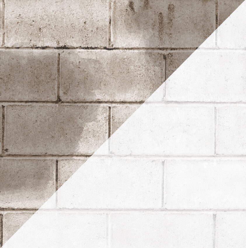 (NEW) DRYLOK® Wet Wall Bonding Primer