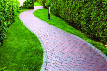 A winding red brick sidewalk surrounded by tall bushes and grass.