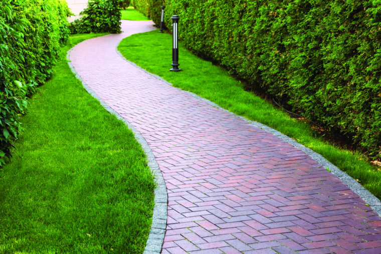 A winding red brick sidewalk surrounded by tall bushes and grass.