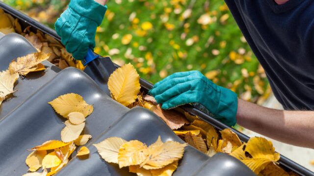 cleaning guttters